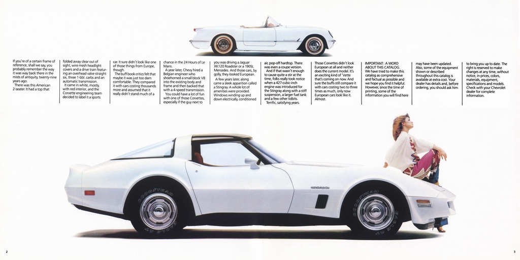 1982 Corvette Revision Brochure Page 6